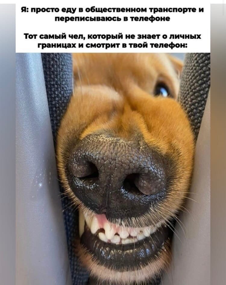 Или любопытство не порок)