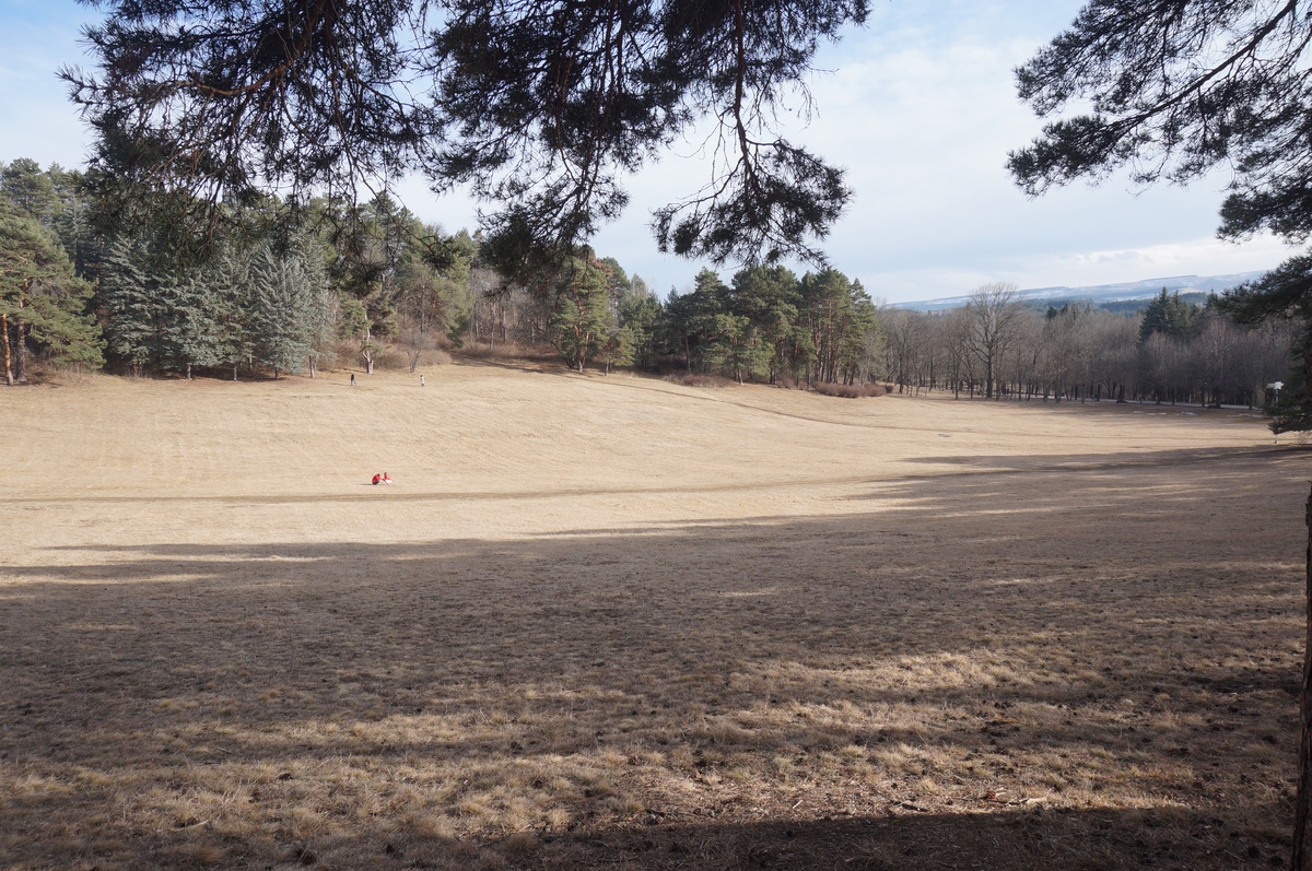 Юлия Сова, астролог. Фото автора