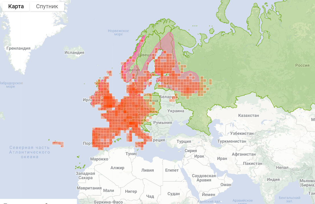 Каждый красный квадрат - отдельное наблюдение