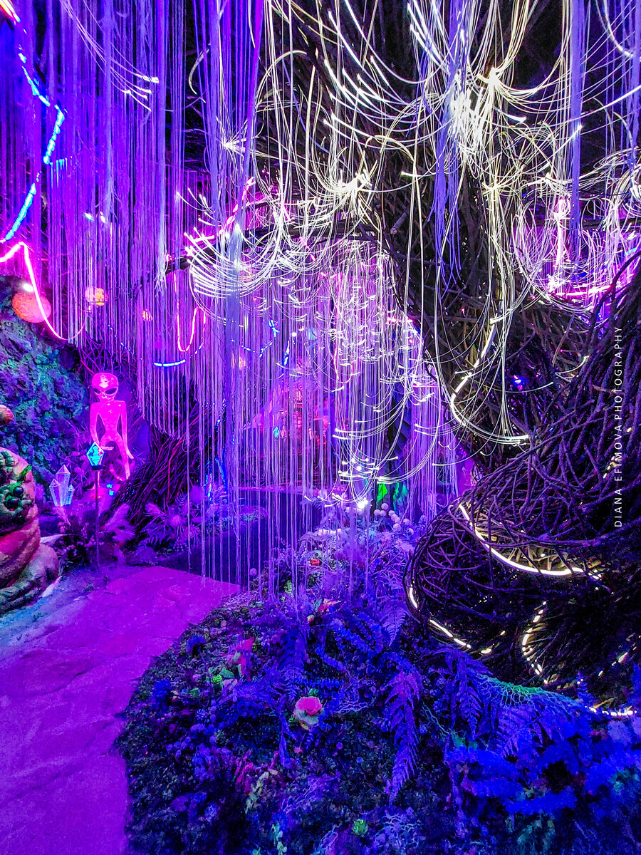 Чем не дерево из первой части Аватара?