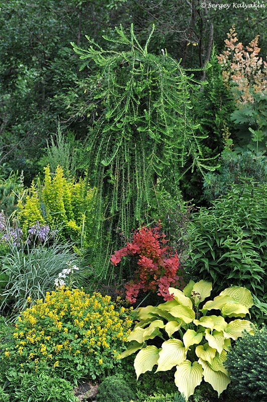 ��� ������� ������������ �������� � ����