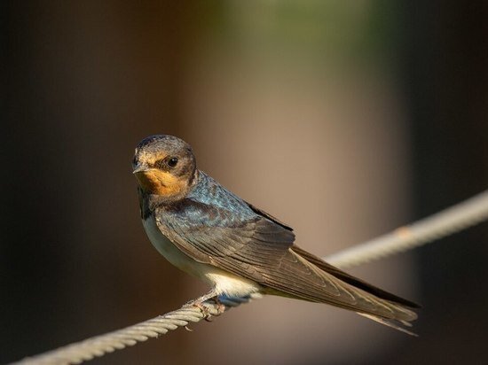     Фото: freepik