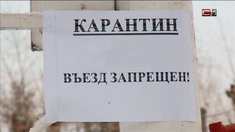    Карантин по бешенству установлен в одном из городов Югры