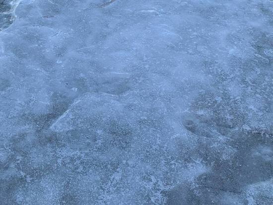     фото: МК в Туле, Лилия Апрятова