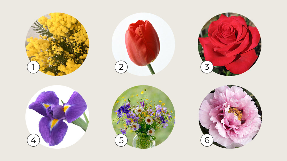 Выберите ваш любимый цветок и читайте дальше