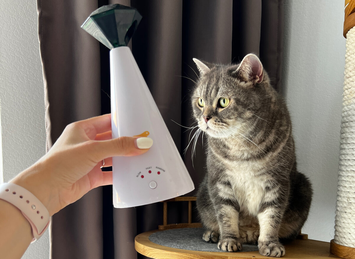 Интерактивная игрушка для кошек Ferplast Phantom лазерная 