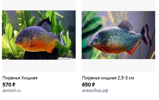 скрин с Яндекса