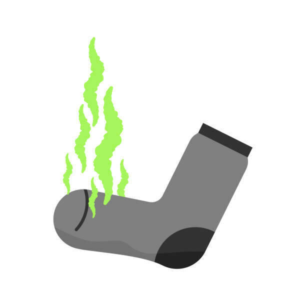 Добавьте описание