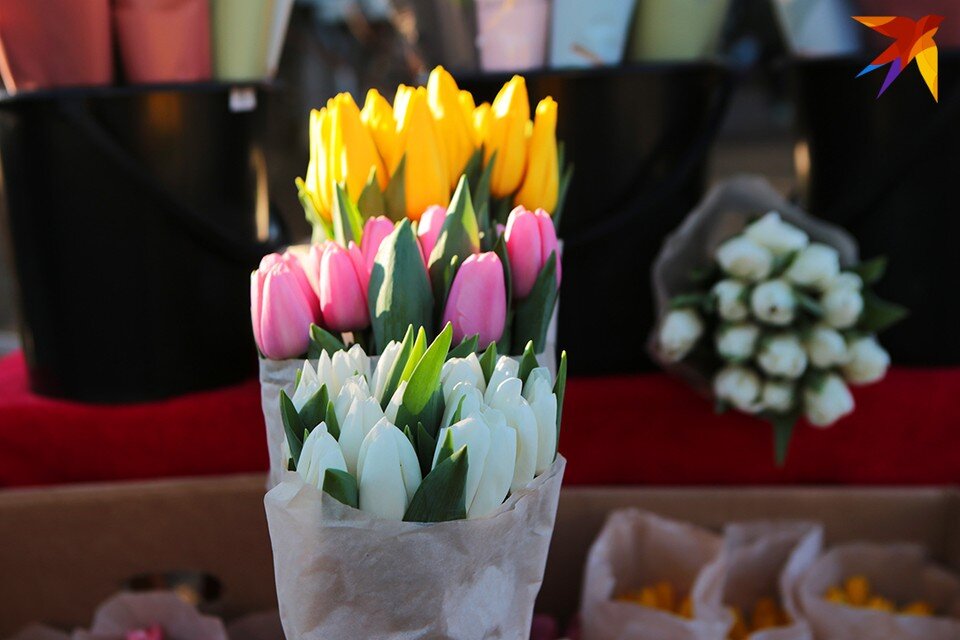     Срезанные цветы нужно хорошенько напоить водой. Юлия Хвощ