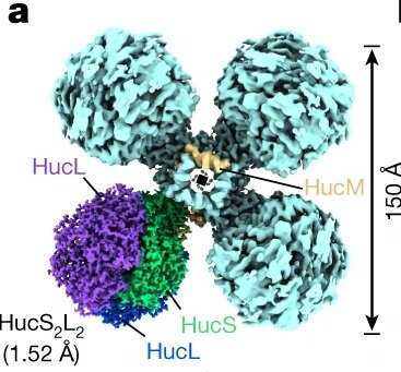    Фермент-катализаторhttps://www.nature.com/articles/s41586-023-05781-7