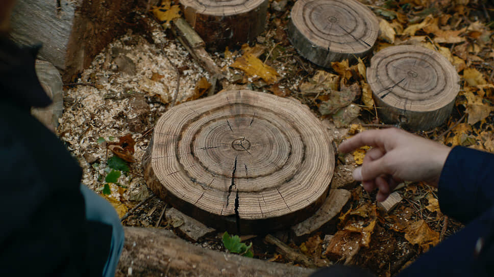     Фото: Capella Film