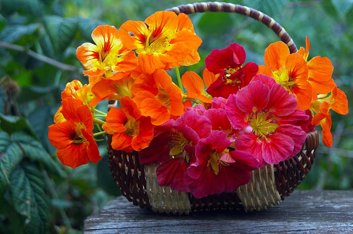 Майл. Картинки