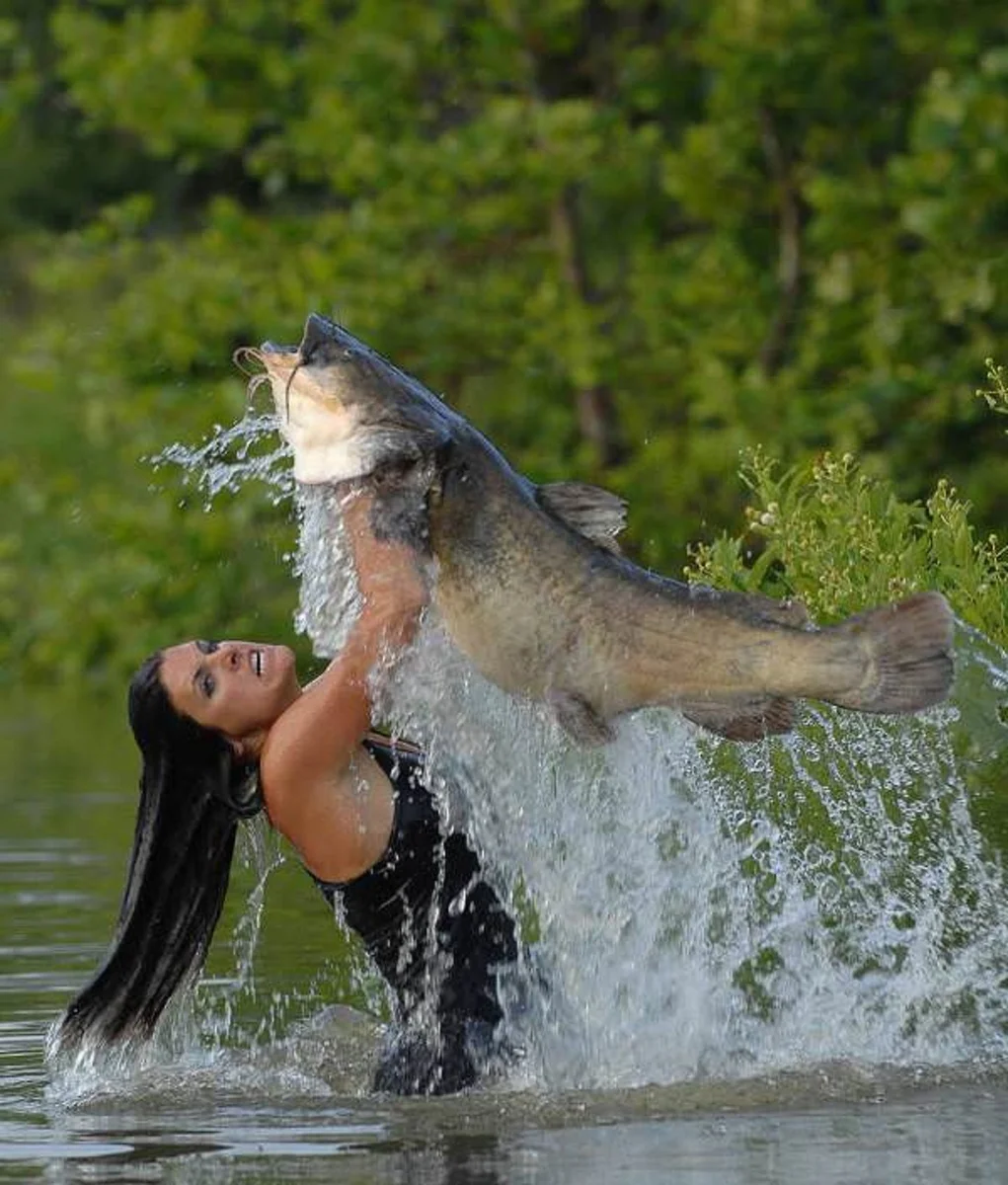 Взято из общего доступа.