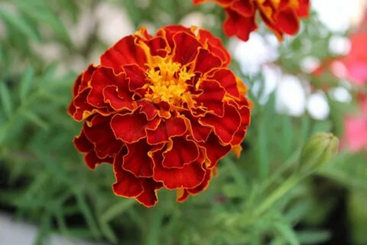 Взято из общего доступа 