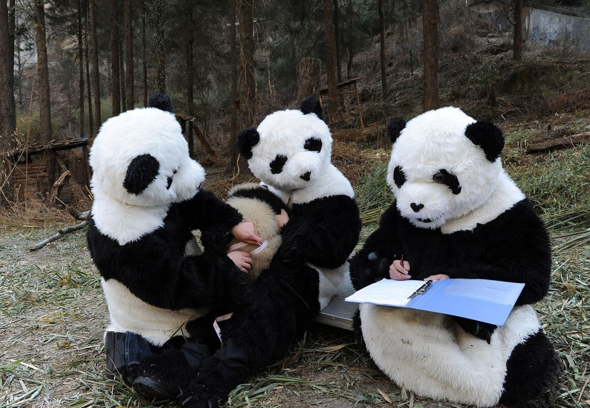 Найди настоящего.