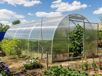    Органическим солнечным панелям нашли применение в сельском хозяйстве