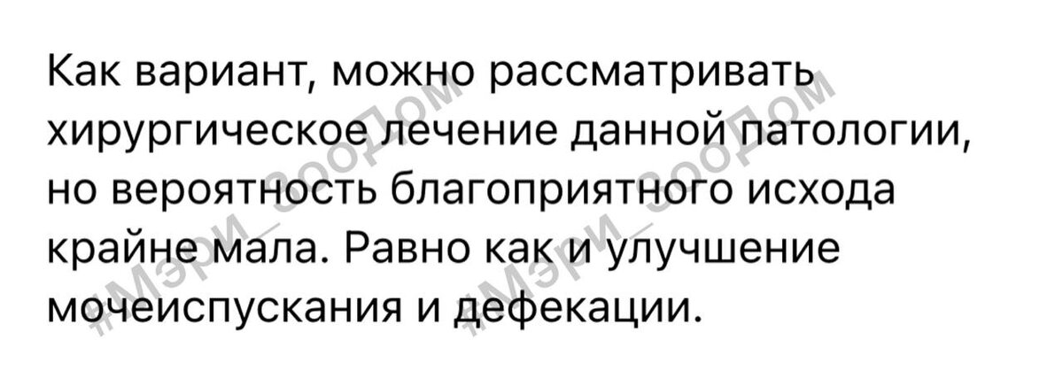 Из заключения невролога по результатам повторного осмотра Мэри