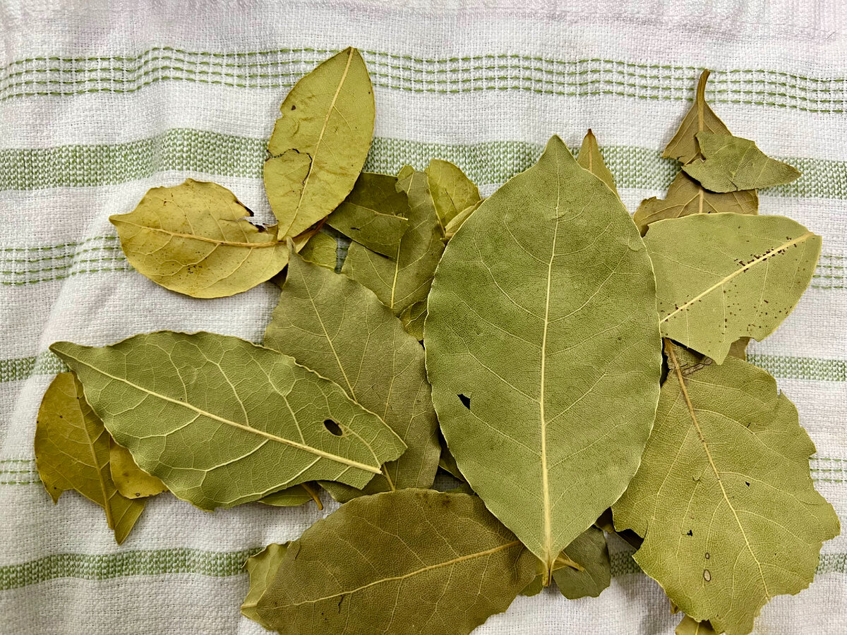 Незаменимая деталь при варке супов