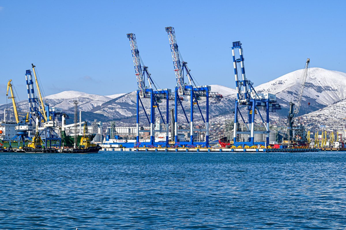    В партии табака из Турции в порту Новороссийска нашли живую муху-горбатку