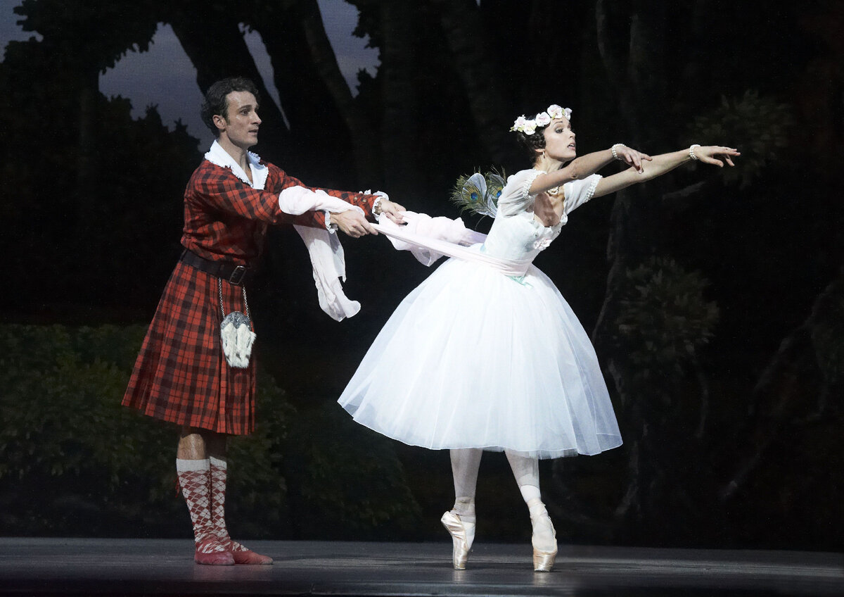 Яндекс Картинки