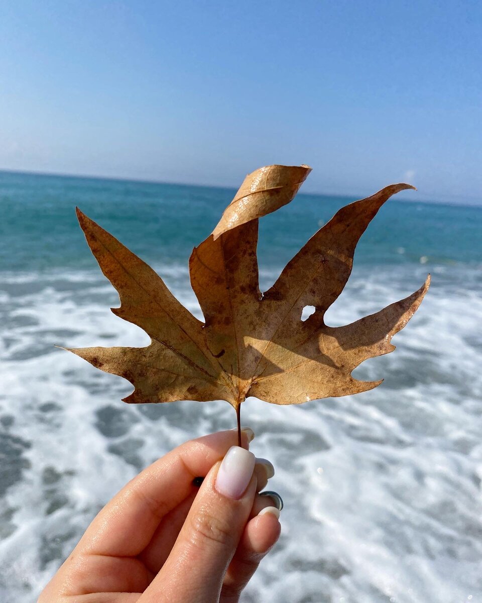 Alanya, октябрь 2022 год