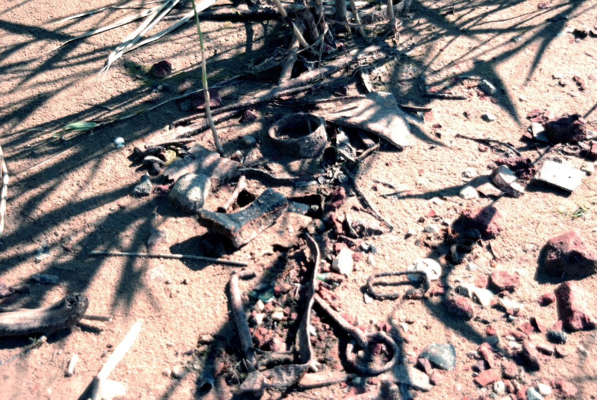 Артефакты на месте деревенского дома. Обломок пилы, пряжка, кольцо с пробоем и другие железные изделия. Обломки кирпича - это остатки печи. 