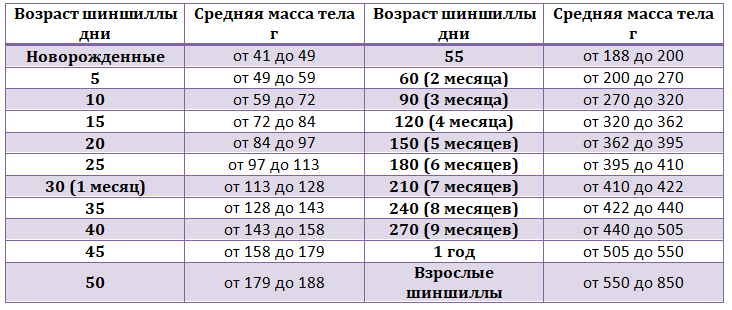 Зависимость средней массы тела от возраста шиншиллы