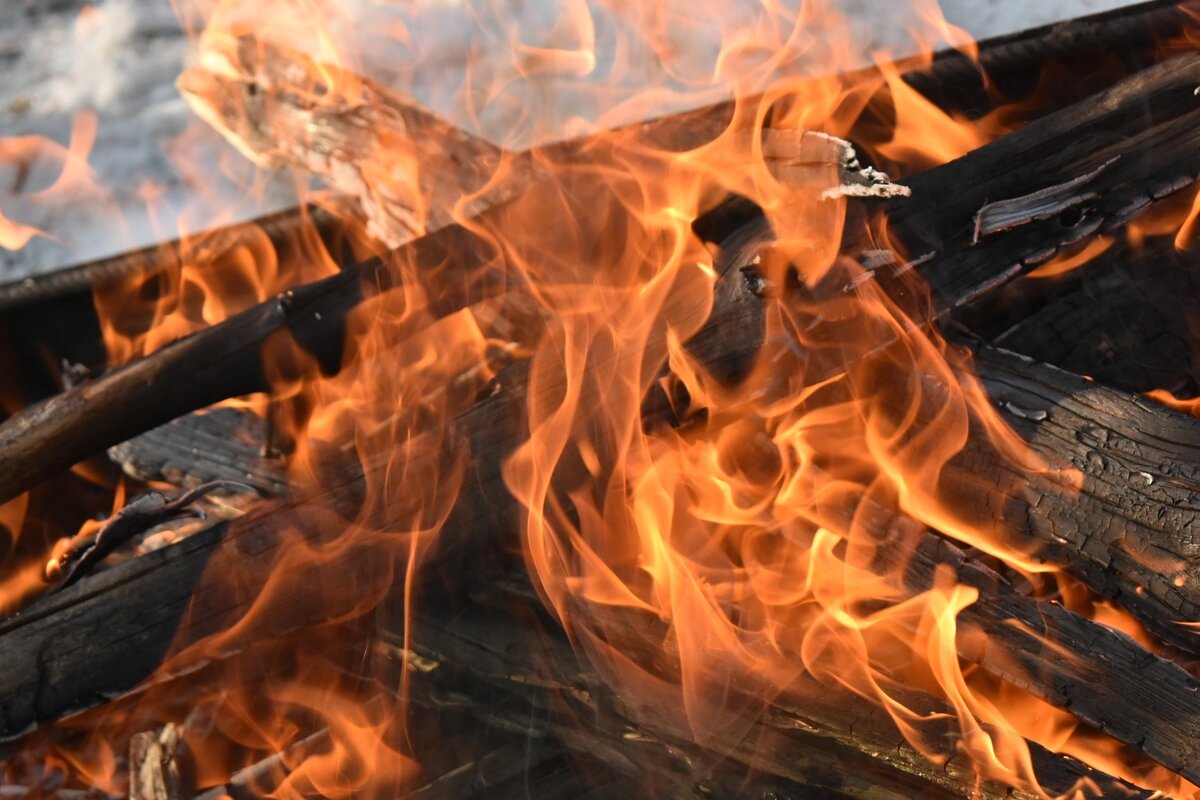 Воронежская нагорная дубрава в марте