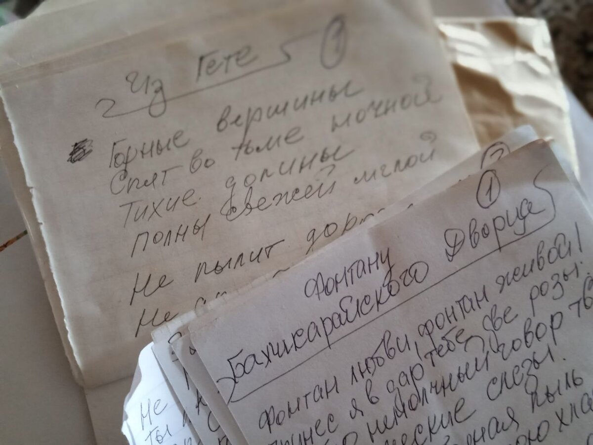 А это она стихи переписывала. Память тренировала