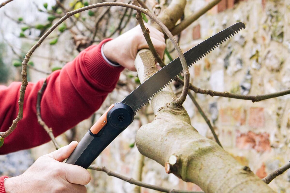 Фотография из открытых источников 