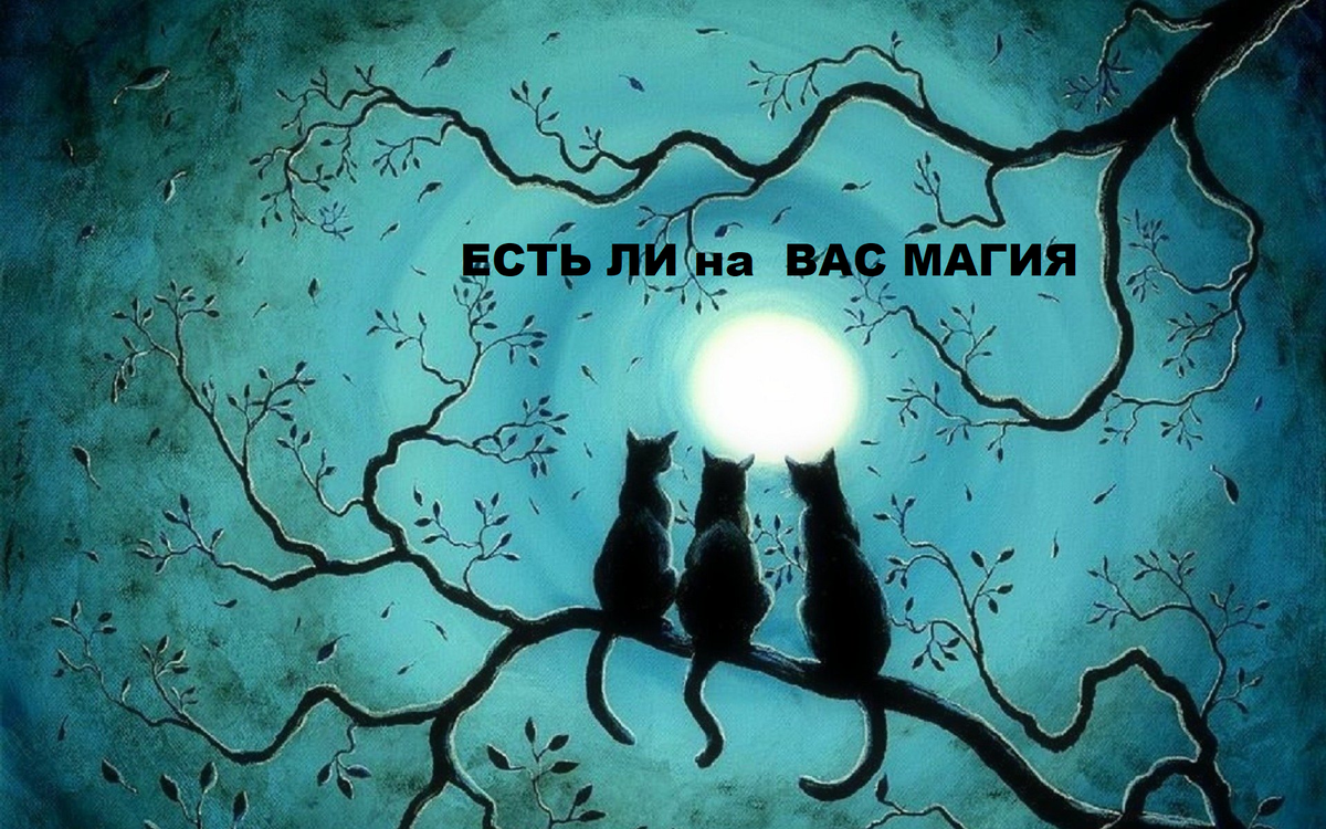 Картинка из свободного доступа