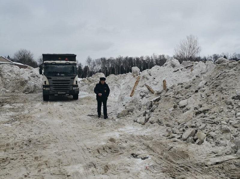   Фото: Министерство экологии и природопользования Московской области