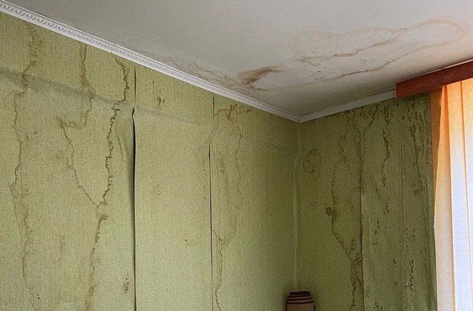     В квартирах течет потолок. Фото: паблик "Честные Боровичи"