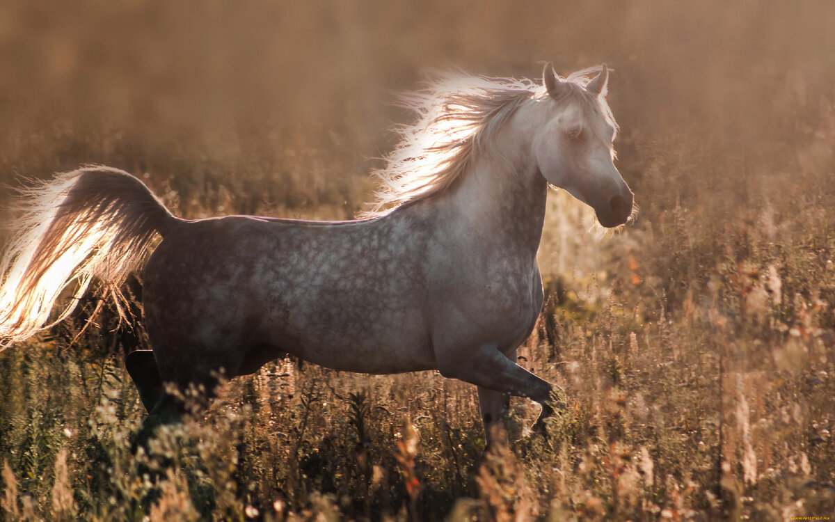 Изображение из открытых источников.