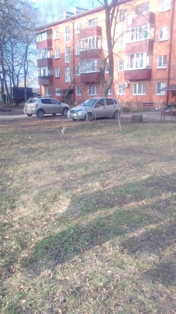фото сила - в знаниях!