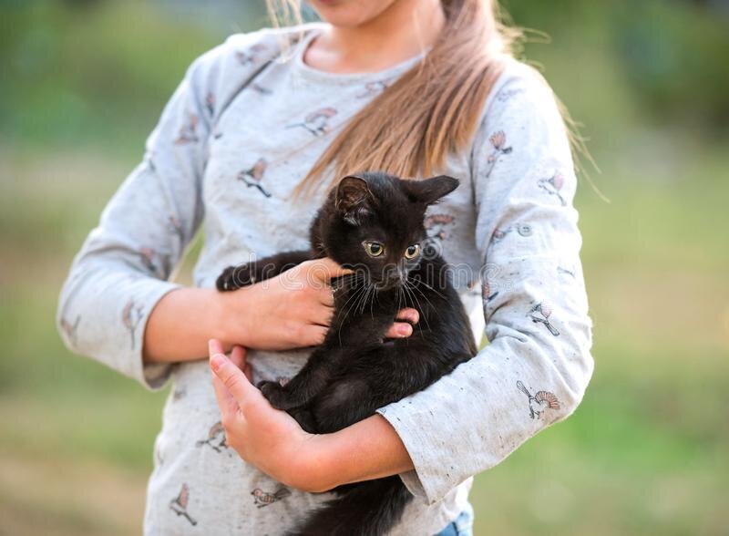 Фото из открытого доступа. 