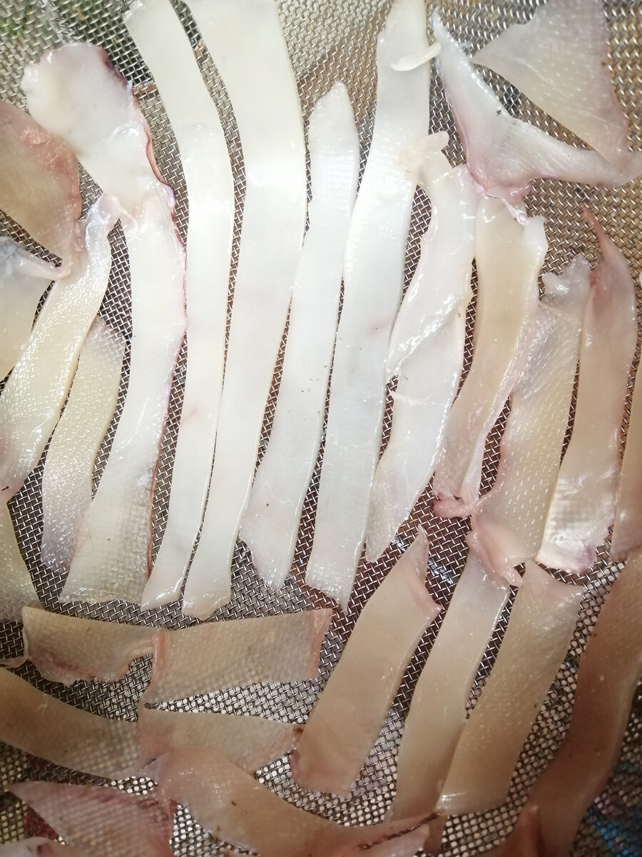 Кальмары на металлическом сите