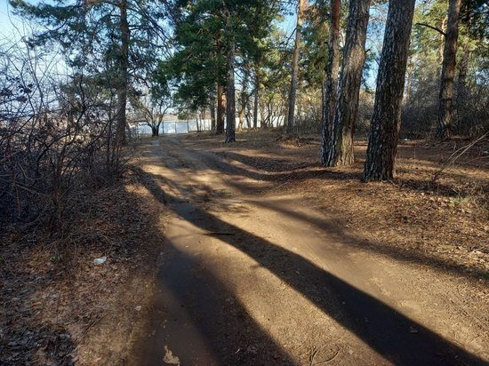     Фото: Юрий Роганов