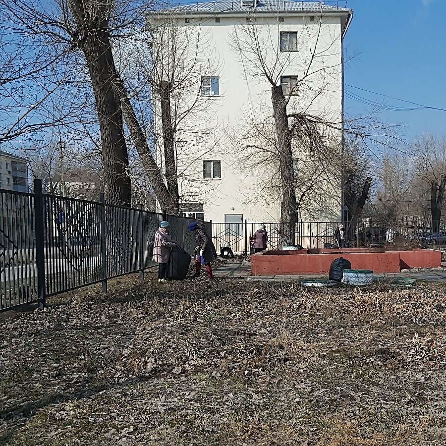 Школьная территория