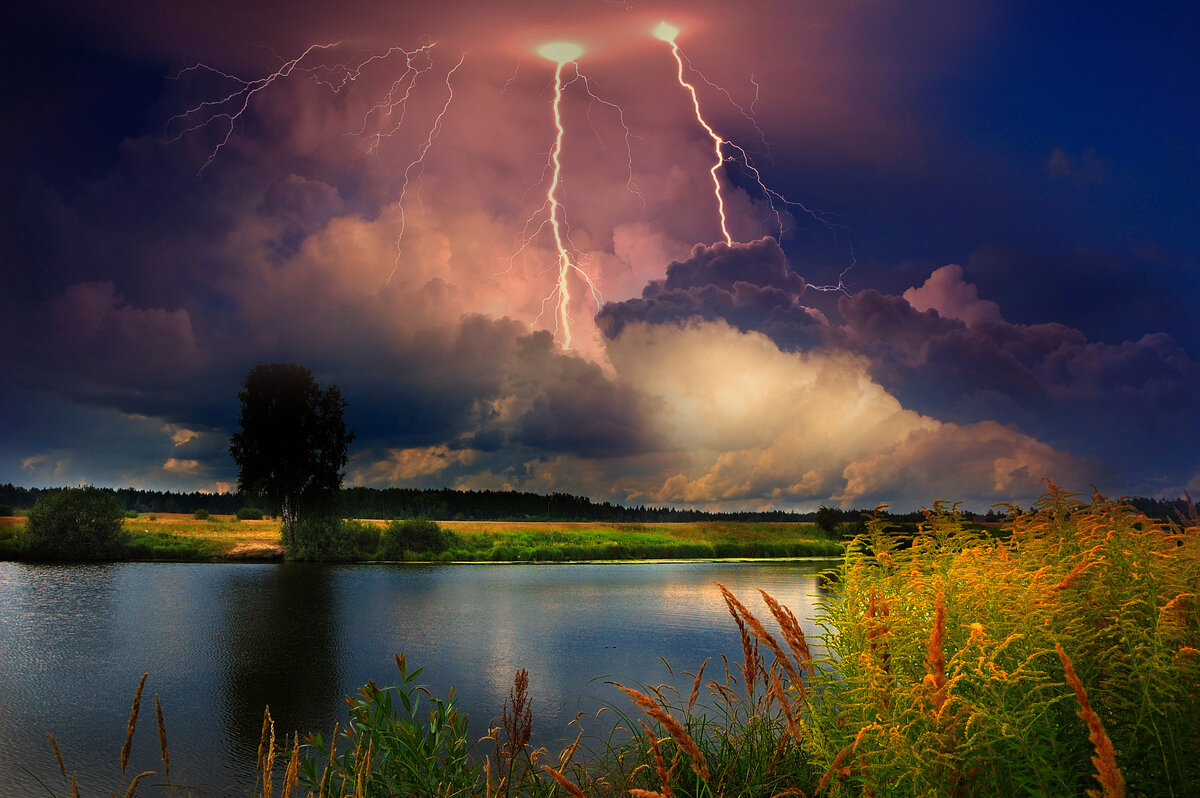 Источник: Яндекс. Фото из сети. https://adonius.club
