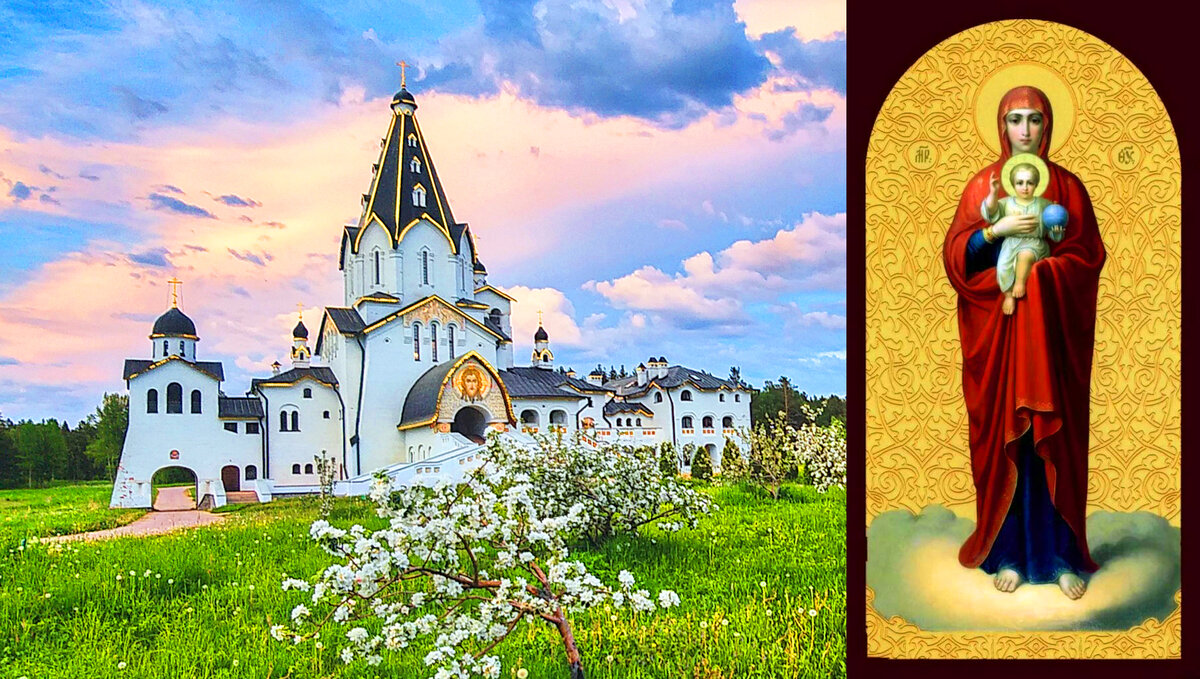 Коллаж из фото автора канала