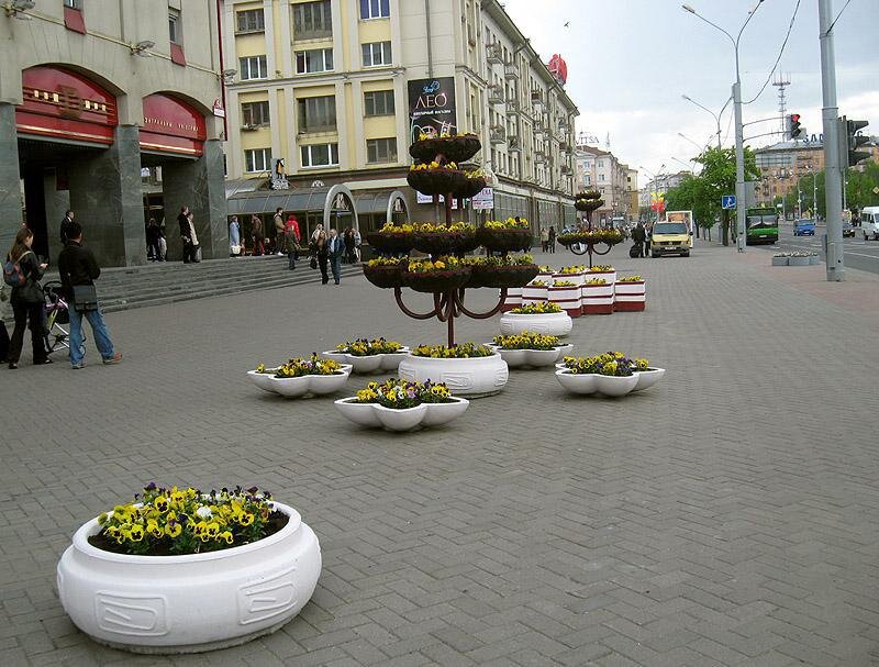 Изображение взято из открытых источников в соцсетях