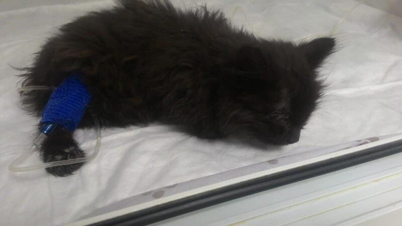 Фото из домашнего архива