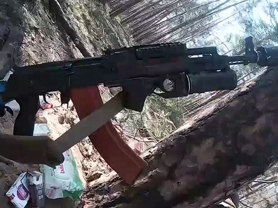 Взято из общего доступа.