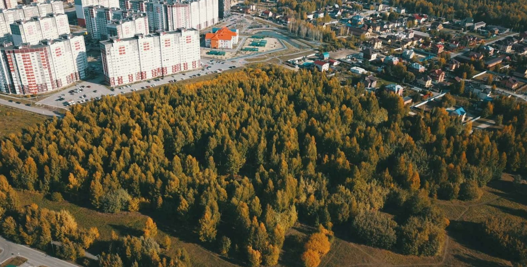 Администрация Тюмени📷
