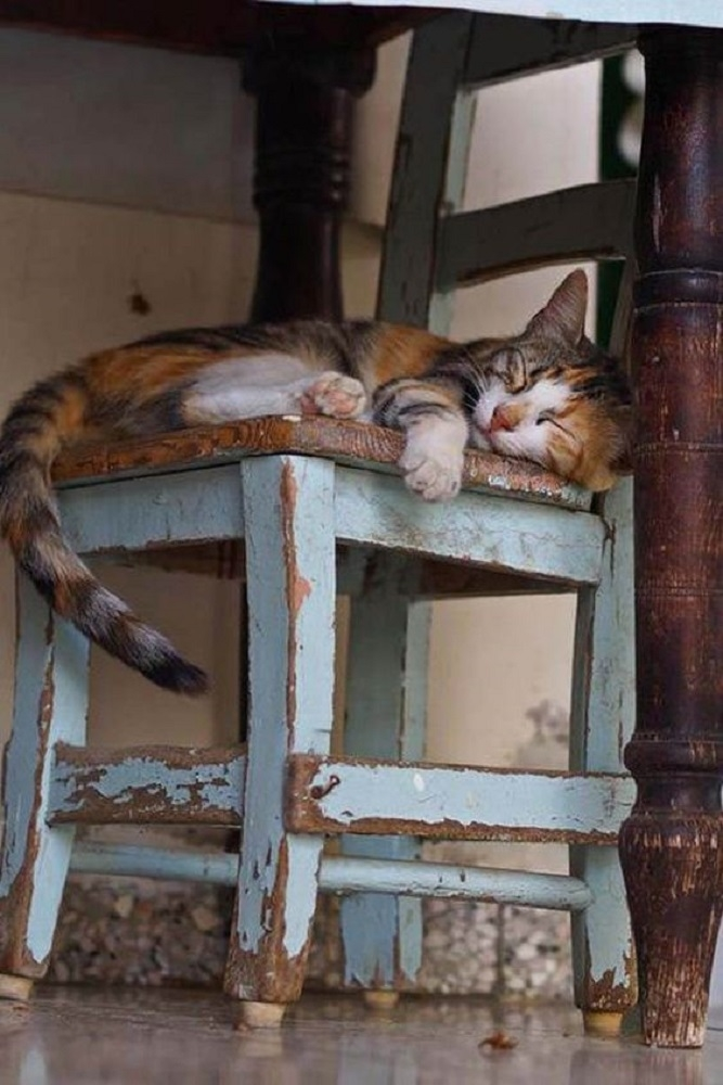 Кот подстолом, но на стуле. Объект подстолом, но на стуле. 

♦
Предлог "Под" как объект с заданными и не заданными свойствами 
♦
https://dzen.ru/media/id/5c1c1f0af4fd4200aaf5f6bf/predlog-pod-kak-obekt-s-zadannymi-i-ne-zadannymi-svoistvami-60c86e7c123d1274944df1d0