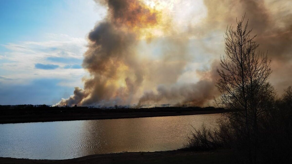     С 3 апреля в Тюменской области вводится особый противопожарный режим. По данным тг-канала Александра Моора, с этого же дня устанавливается пожароопасный сезон в лесах.