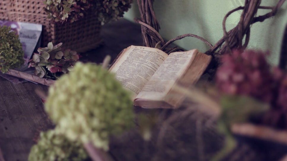    Фото: Tamara Menzi / unsplash.com