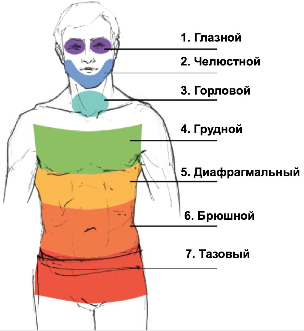 Упражнения от зажимов в теле с картинками