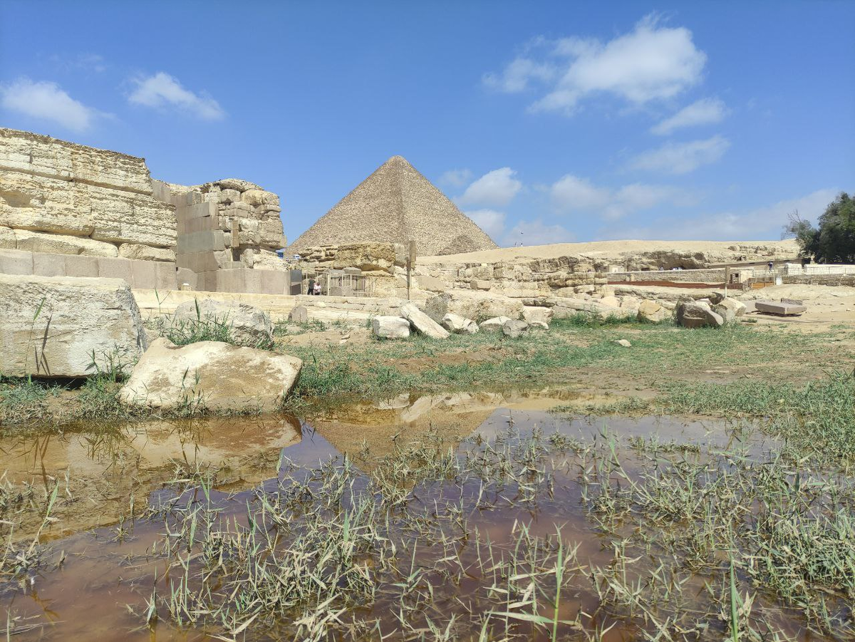 Источник фото: https://t.me/nile_valley/96